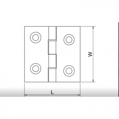 Lankstas ner. plienas 38x38-4,5mm, AISI316 1